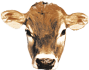 Brown Cow logo